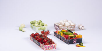 Konsumenci żądają zmian! Zrównoważone opakowania dla owoców i warzyw